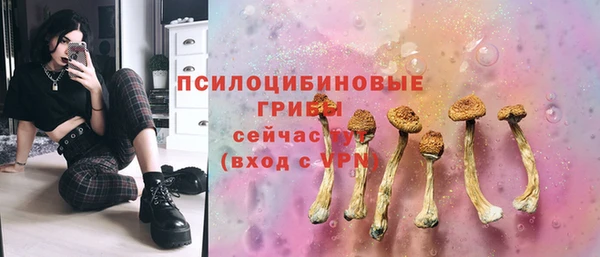ALPHA PVP Касимов