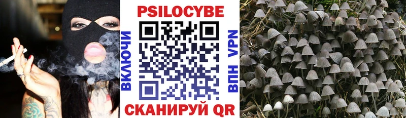 Псилоцибиновые грибы Psilocybine cubensis  Купить  Белая Калитва 
